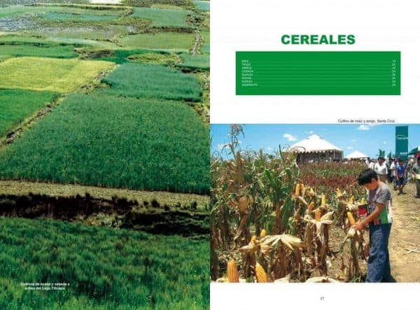 DVD: Enciclopedia Bolivia Agropecuaria - Tomo II 6